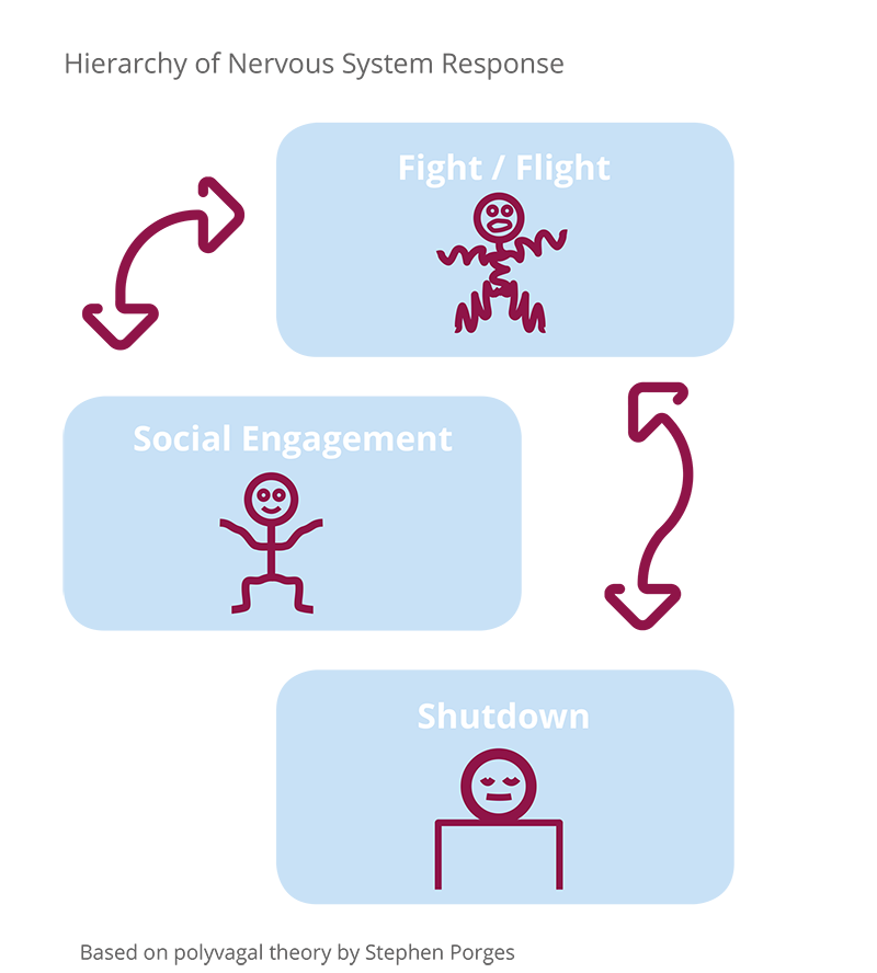 Hierarchy of Nervous System Response 